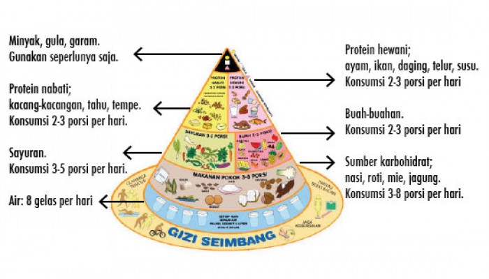 Tentang Gizi Seimbang